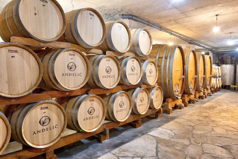 Andelic vinarija 1 768x512