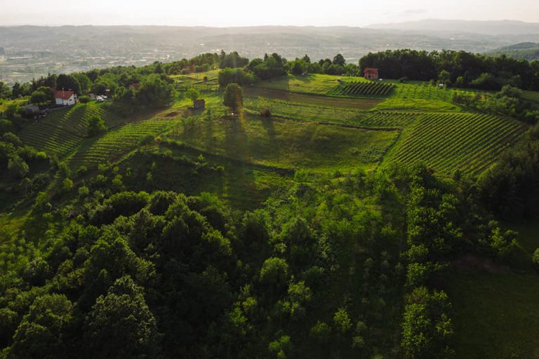 Crveni brijeg 2 768x512