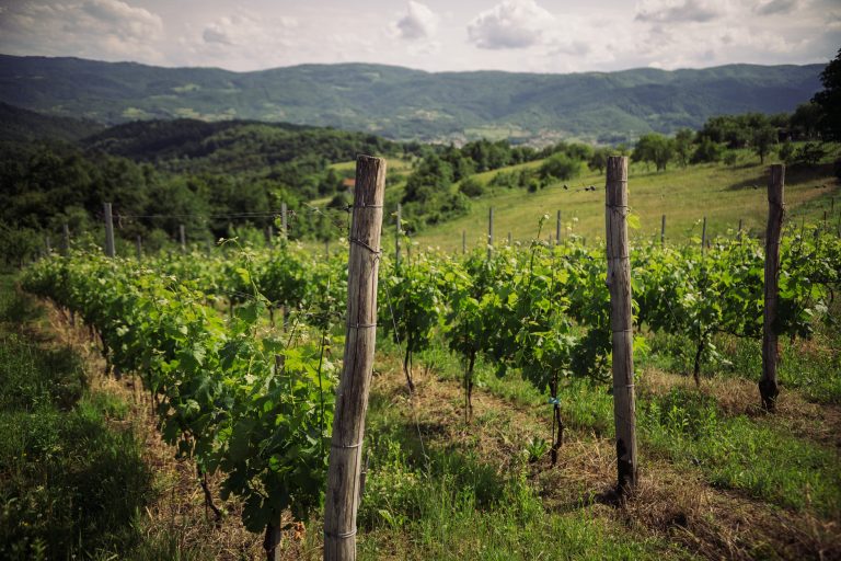 Crveni brijeg 6 768x512