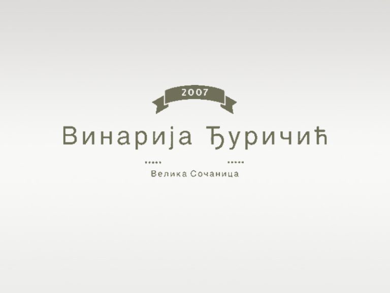 Duricic logo 1 768x576