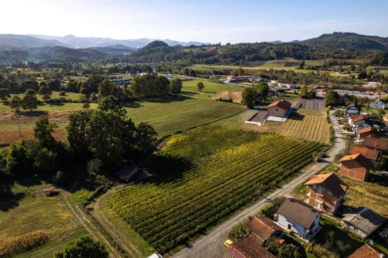 Gotovac vinarija 1 768x511