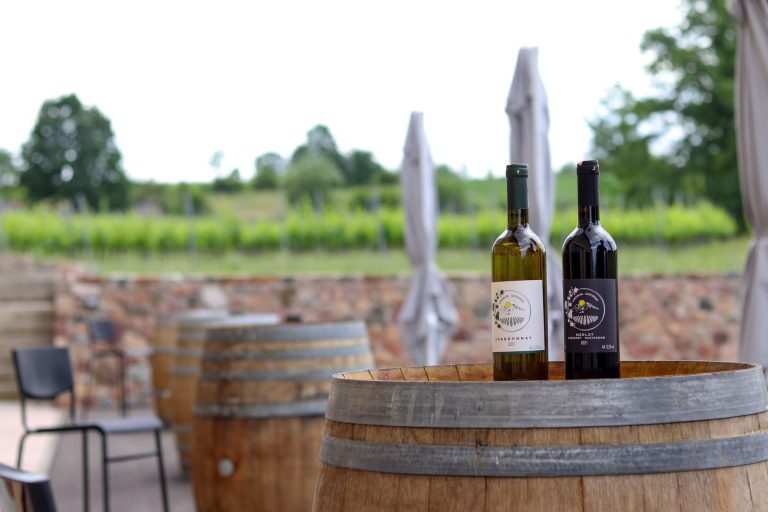 Gotovac vinarija 6 768x512