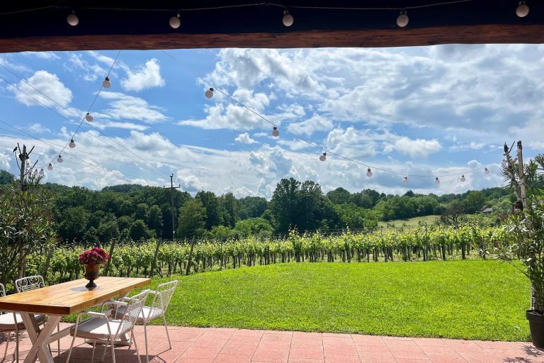 Podrum Panic 11 768x512