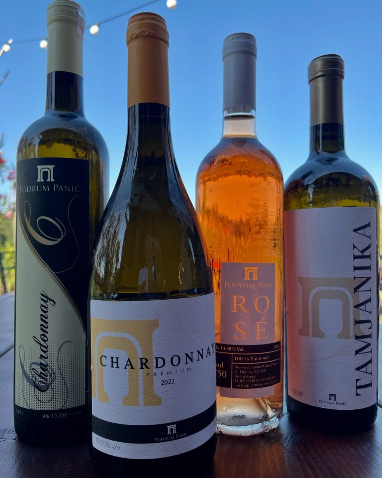 Podrum Panic 5 768x960