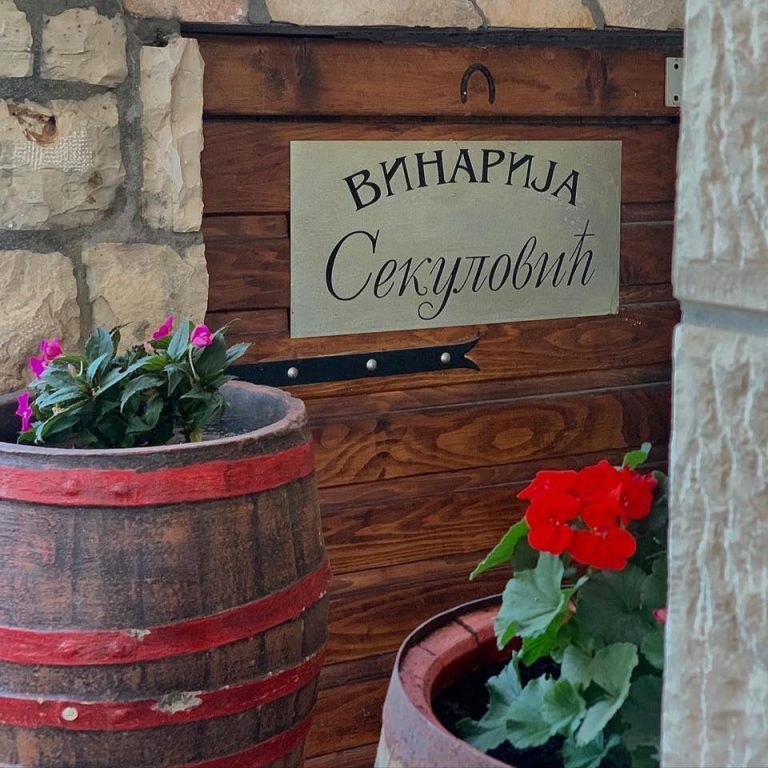 Sekulovic vinarija 1 768x768