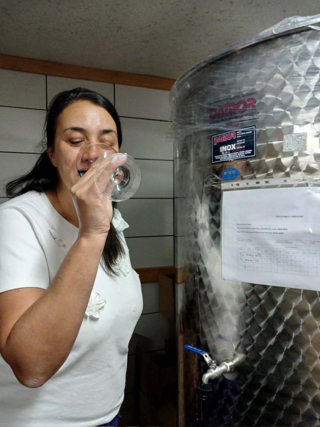 Proizvodnja vina u porodičnoj vinariji Vinarium Vina M